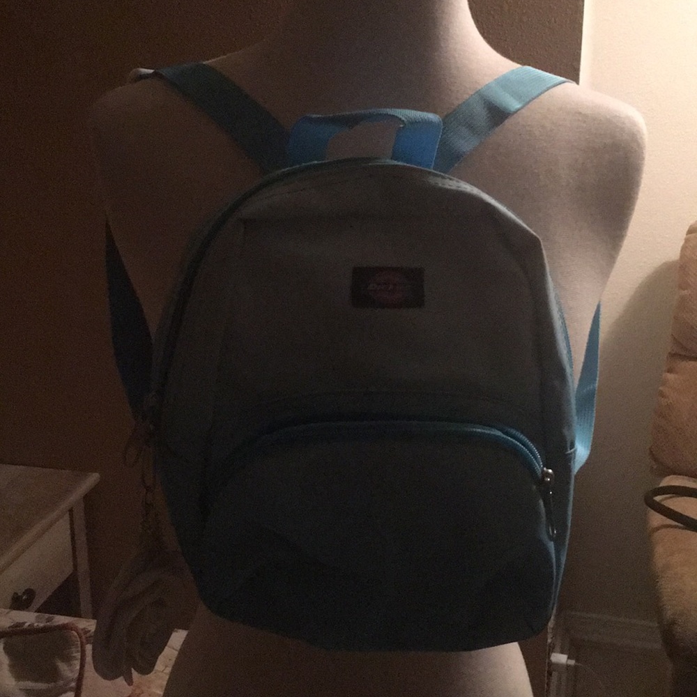 Dickies Ombré backpack
